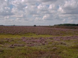 Kongenshus-mindepark-IMGP8369